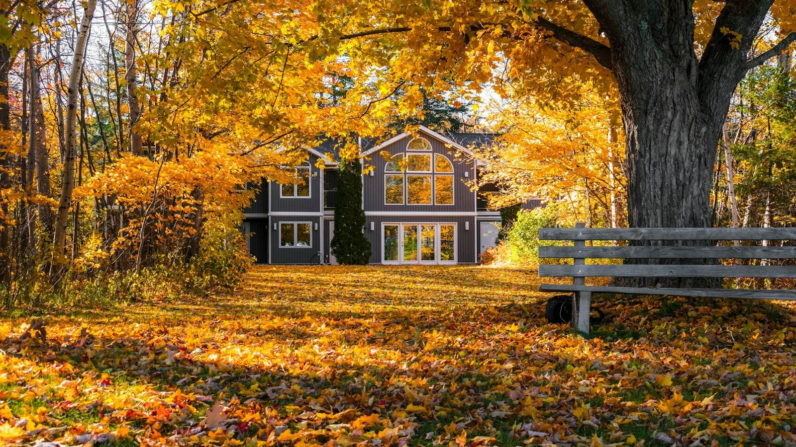 Gray two-story house behind a yard covered in golden fall leaves